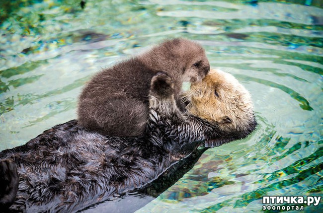 ���� 8: ������ ������. ����� ������ ������ ��������� ����.