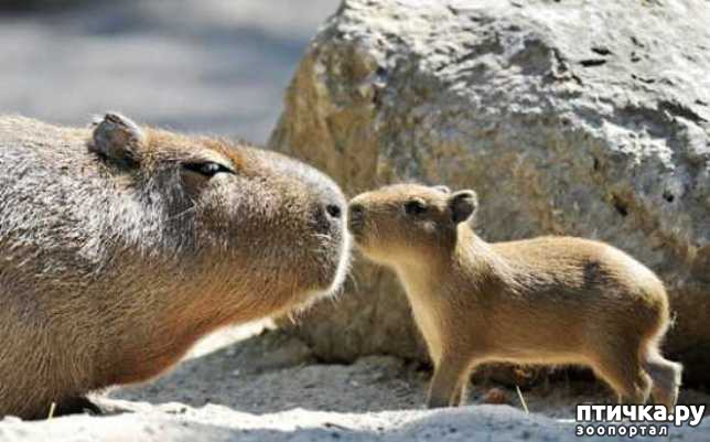 ���� 9: ������ ������. ����� ������ ������ ��������� ����.