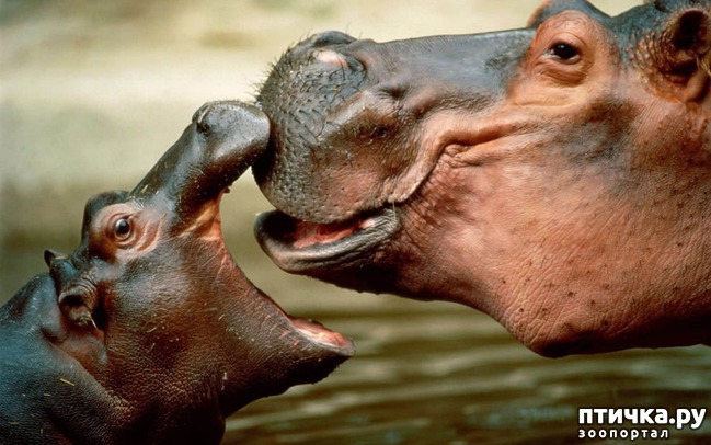 ���� 10: ������ ������. ����� ������ ������ ��������� ����.