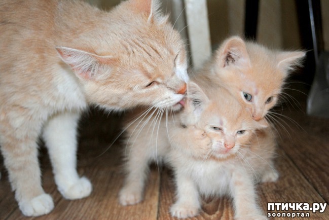 ���� 12: ������ ������. ����� ������ ������ ��������� ����.