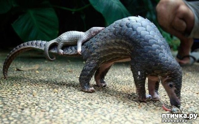 ���� 16: ������ ������. ����� ������ ������ ��������� ����.