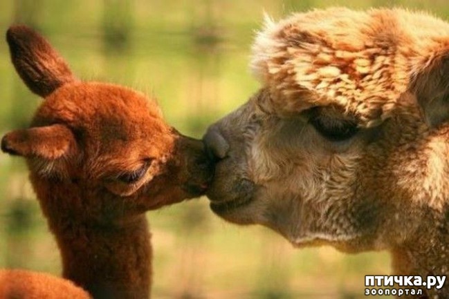 ���� 17: ������ ������. ����� ������ ������ ��������� ����.