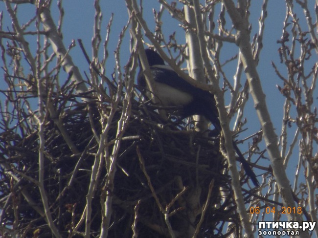 ���� 2: ����Ѩ��. � ����� ����� �������!