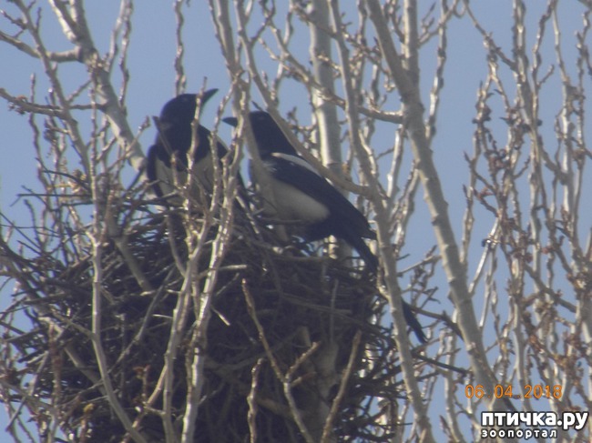 ���� 6: ����Ѩ��. � ����� ����� �������!