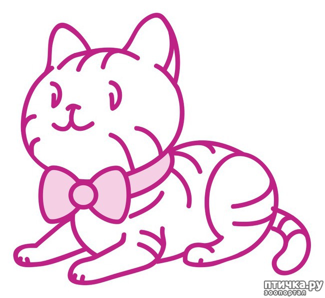 ���� 2: �������� ����������� � ������ ��������� ����� � �����