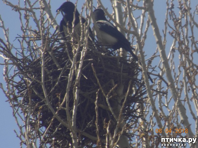 ���� 7: ����Ѩ��. � ����� ����� �������!