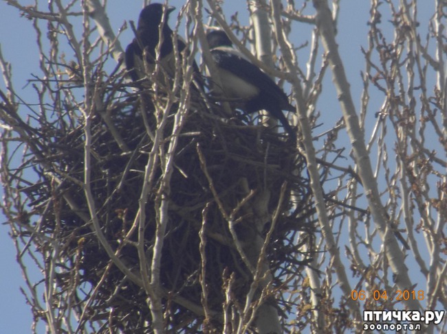 ���� 8: ����Ѩ��. � ����� ����� �������!