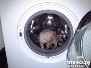 ����: C ����� ������ ����� (7)