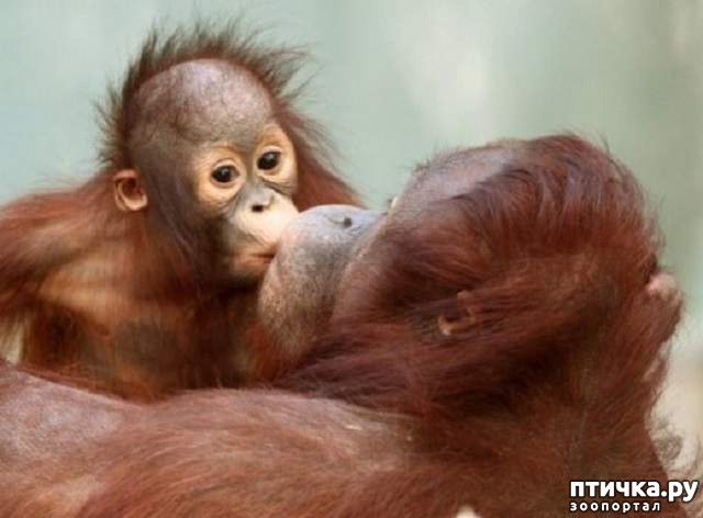 ���� 20: ������ ������. ����� ������ ������ ��������� ����.