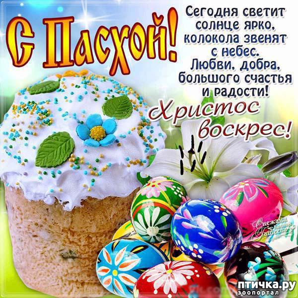 ���� 1: �� ������� ������������! � ������!