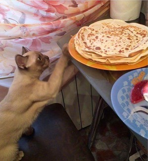 ����: C ����� ������ ����� (8)