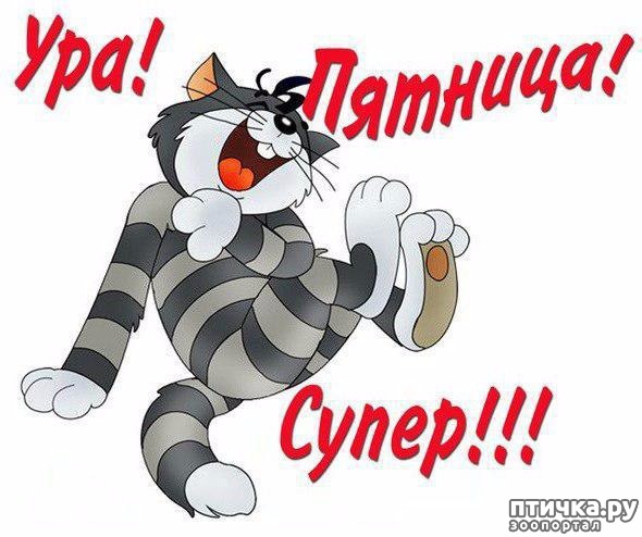 ���� 1: �������� ����������� � ������ ��������� ����� � �����