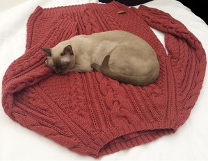 фотография: C ТОЧКИ ЗРЕНИЯ КОШКИ (4) фото: C ТОЧКИ ЗРЕНИЯ КОШКИ (4)