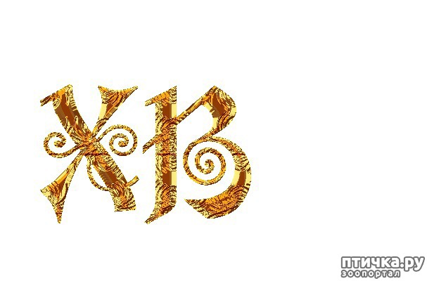 ���� 2: �� ������� ���������� �����, ������� ������!