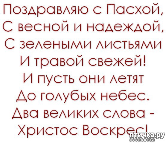 ���� 3: �� ������� ���������� �����, ������� ������!