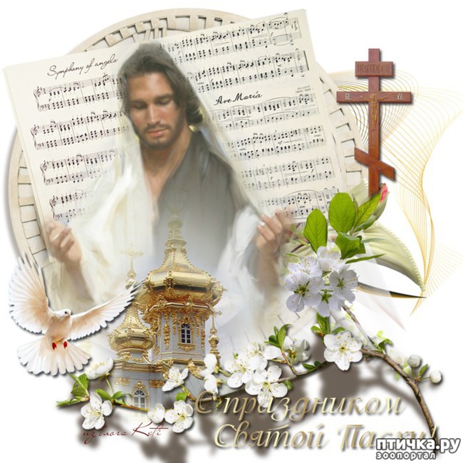 ���� 5: �� ������� ���������� �����, ������� ������!