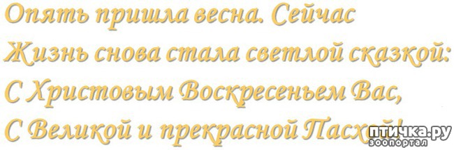 ���� 6: �� ������� ���������� �����, ������� ������!