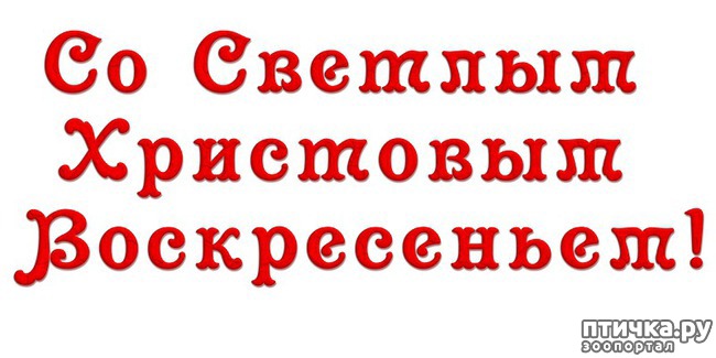 ���� 7: �� ������� ���������� �����, ������� ������!