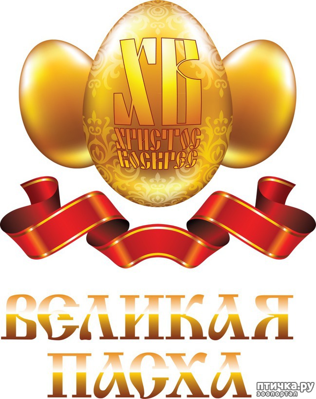 ���� 9: �� ������� ���������� �����, ������� ������!