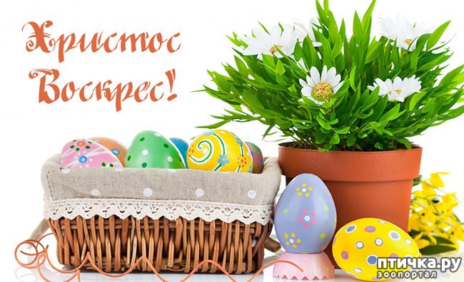 ���� 13: �� ������� ���������� �����, ������� ������!