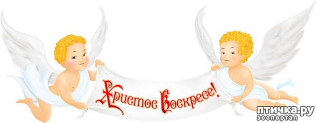 ���� 15: �� ������� ���������� �����, ������� ������!