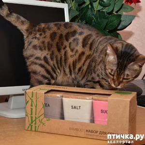 фотография: У нас сегодня праздник! фото: У нас сегодня праздник!