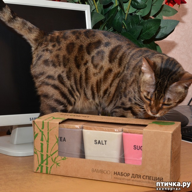 ���� 1: � ��� ������� ��������!