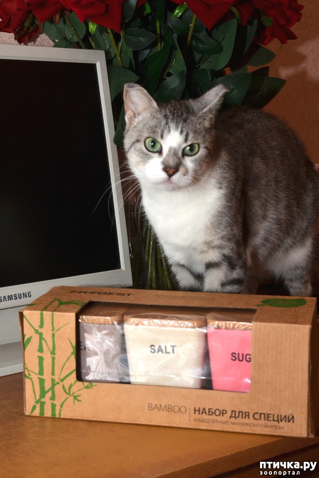 ���� 2: � ��� ������� ��������!