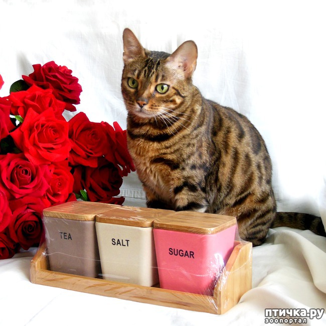 ���� 3: � ��� ������� ��������!