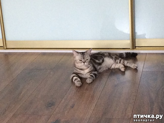 ���� 2: �� ������� � � �����)))