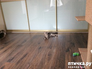 фотография: Вы скучали а я здесь))) фото: Вы скучали а я здесь)))