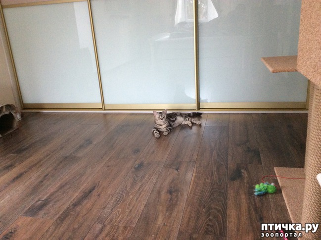 ���� 1: �� ������� � � �����)))