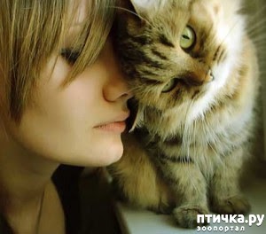 ���� 1: ��� ����� ���. �� ������������ � ������ ��...