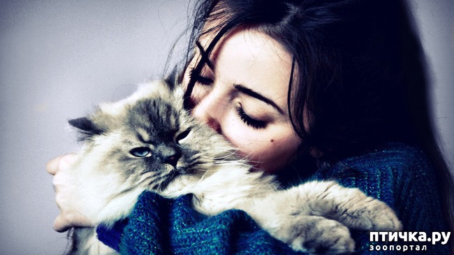 ���� 2: ��� ����� ���. �� ������������ � ������ ��...