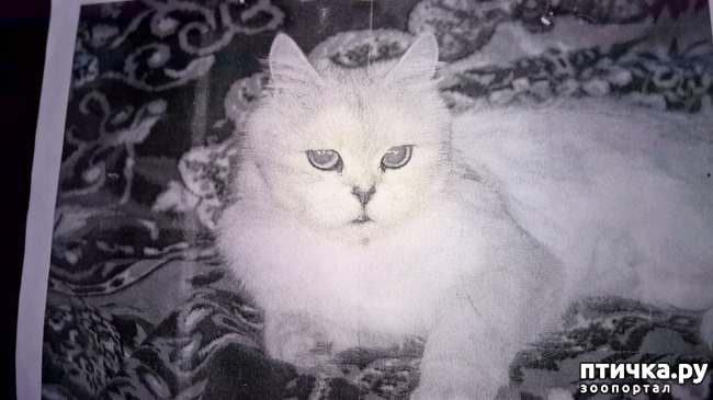 ���� 1: ������