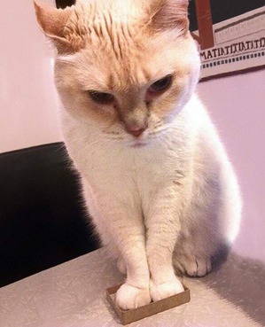 фотография: Для настроения фото: Для настроения