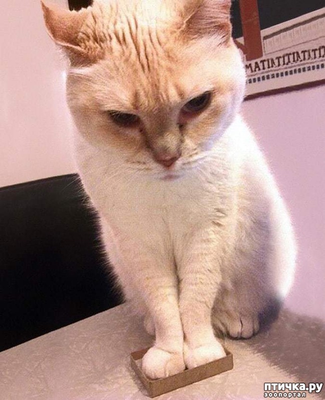 ���� 1: ��� ����������