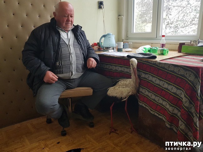 ���� 3: ����������� ������ ��� ������ � ��������