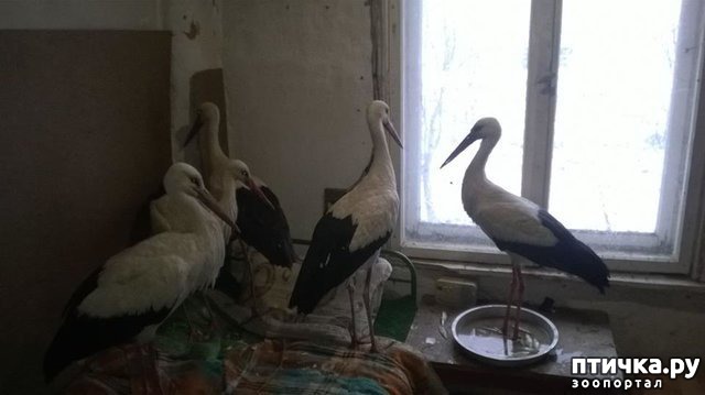 ���� 5: ����������� ������ ��� ������ � ��������