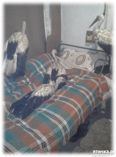 ���� 4: ����������� ������ ��� ������ � ��������