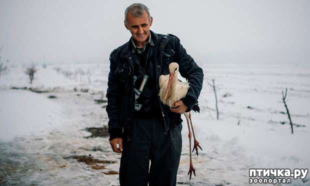 ���� 6: ����������� ������ ��� ������ � ��������