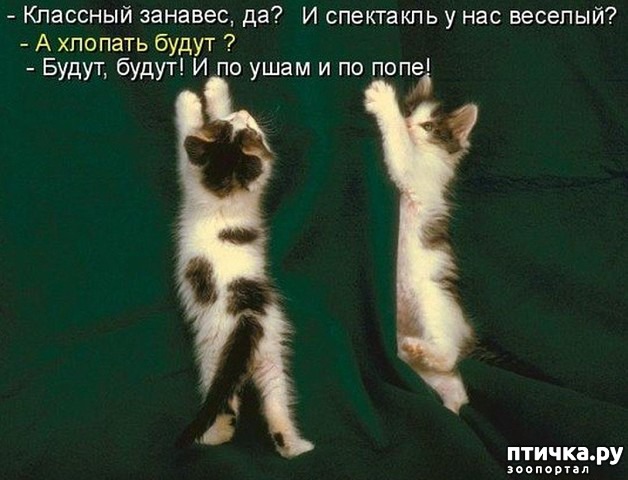 ���� 2: ����������