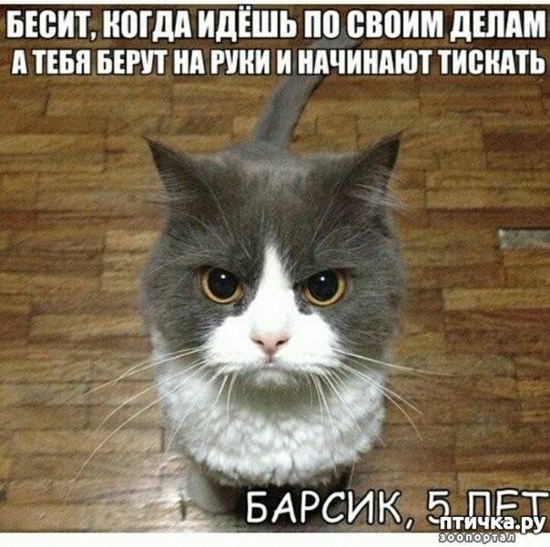 ���� 3: ����������