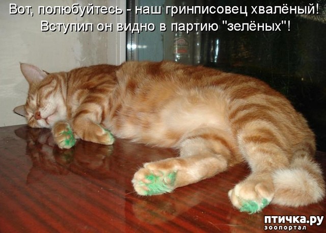 ���� 4: ����������