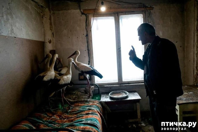 ���� 7: ����������� ������ ��� ������ � ��������