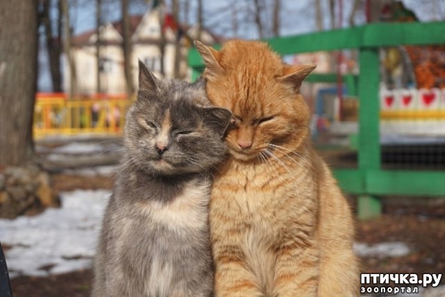 ���� 5: ����������