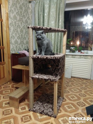 фотография: А у нас новый домик!!! фото: А у нас новый домик!!!