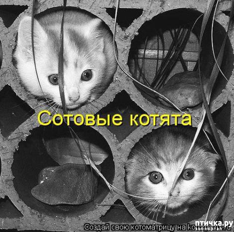 ���� 26: �������-�������! ��� ������ �������!