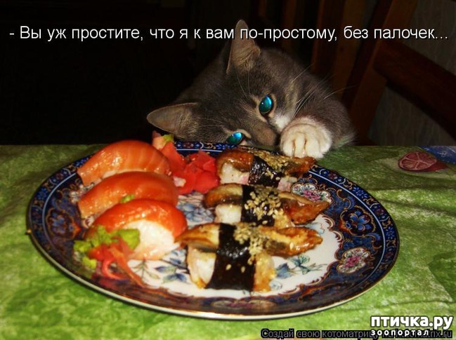 ���� 27: �������-�������! ��� ������ �������!