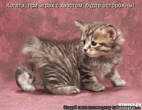 ���� 3: �������-�������! ��� ������ �������!